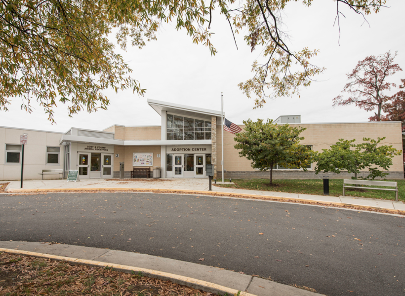 West Ox Animal Shelter Expansion - DMY West Ox Animal Shelter Expansion - DMY
